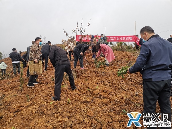 一防两不停确保开门红泥凼镇2021年度开展国土绿化建设生态文明义务