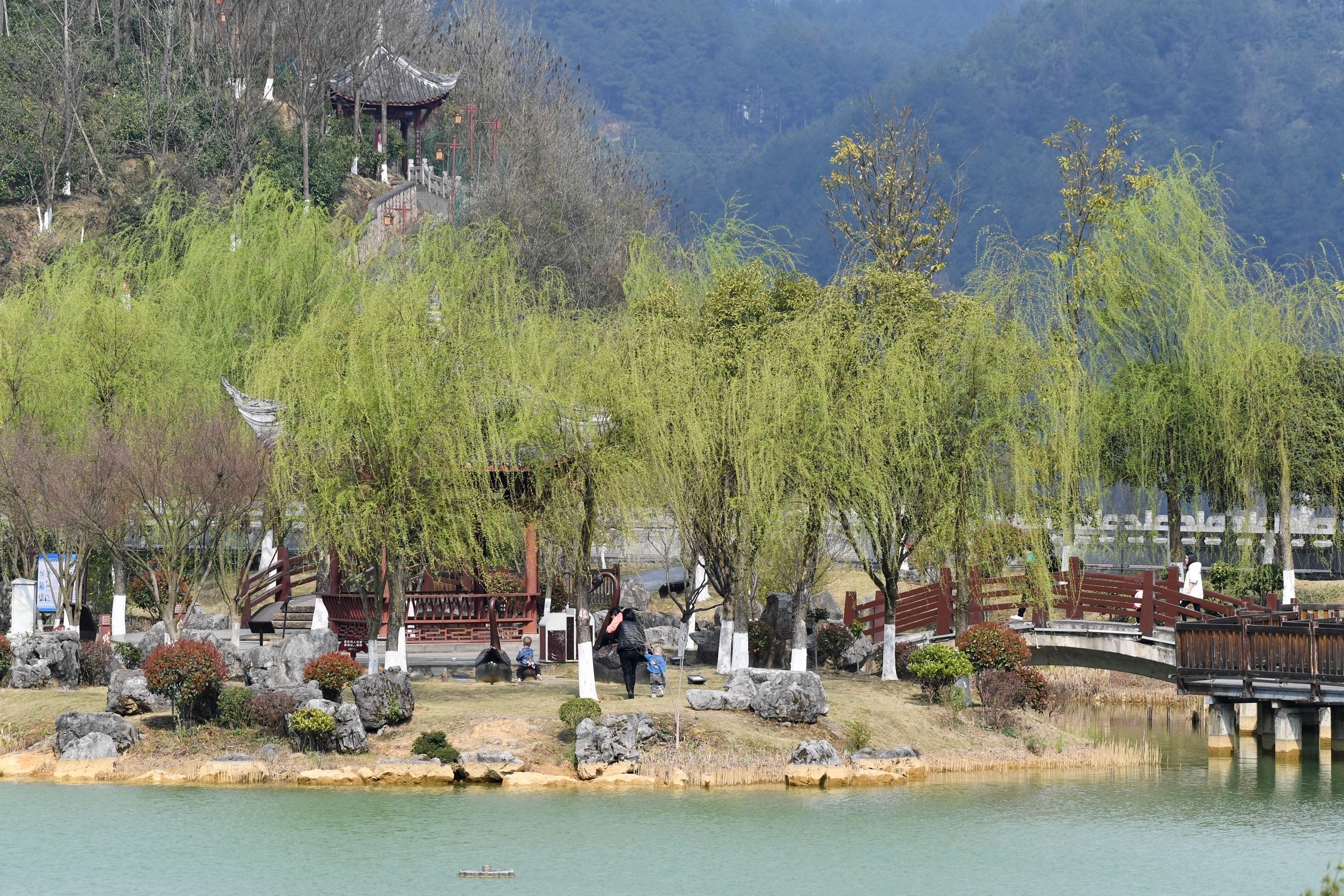 460835-2022年3月11日，市民在贵州省仁怀市楠竹林公园游玩。.jpg