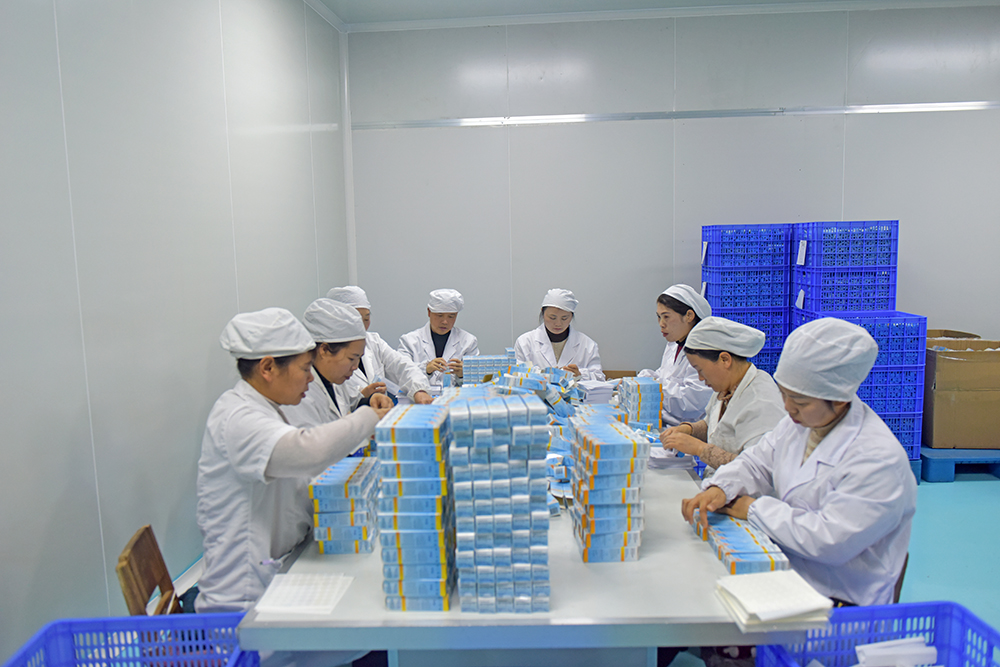 贵州苗药：53项专利撬动国内外市场 康养智造领航产业发展(图1)