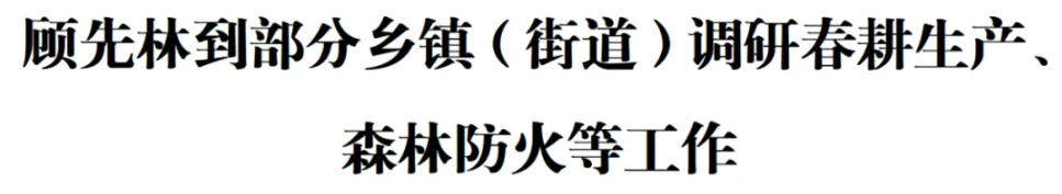 顾先林到部分乡镇（街道）调研春耕生产、森林防火等工作(图1)