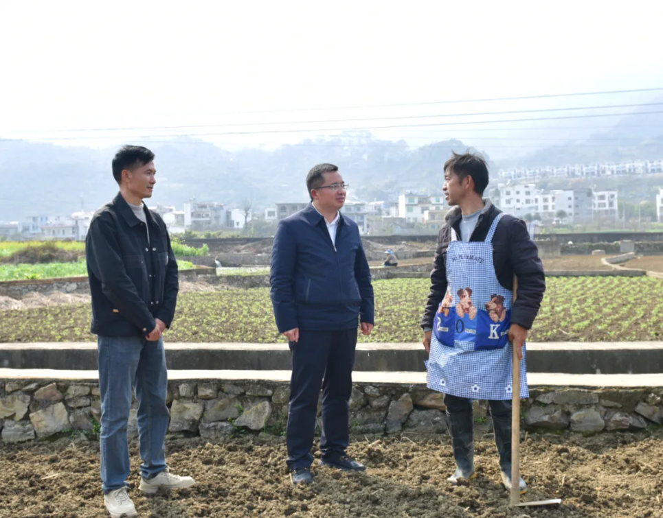 顾先林到部分乡镇（街道）调研春耕生产、森林防火等工作(图2)