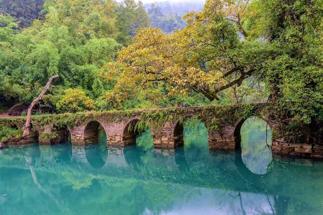 你好，多彩贵州(图21)