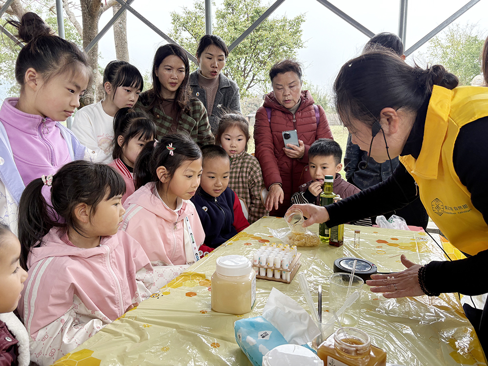 自然教育新体验：探秘“蜜蜂王国” 感受自然奥秘(图3)