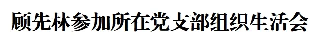 顾先林参加所在党支部组织生活会(图1)