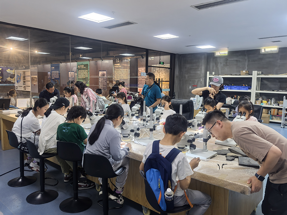 两亿年化石唤醒科学探索热 兴义世界地质公园博物馆“五一”热力出圈(图3)
