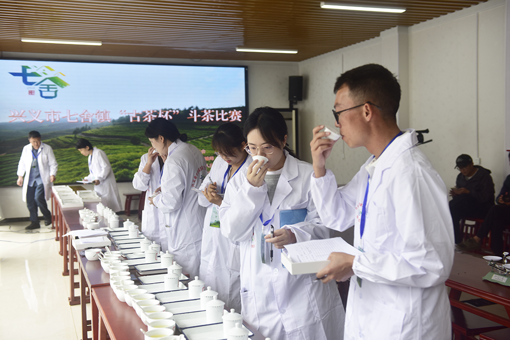 七舍镇首届“古茶杯”手工茶大赛：让传统技艺焕发新生机(图4)