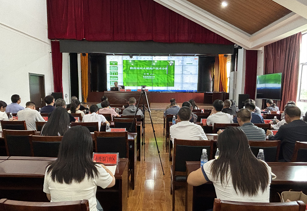 兴义市“水稻高产种植技术与管护要点”公益科普讲座举行(图1)
