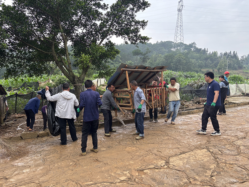 木陇街道大蚌村：分阶段分层级推进“两清两改两治理” 绘就宜居和美乡村新图景(图1)