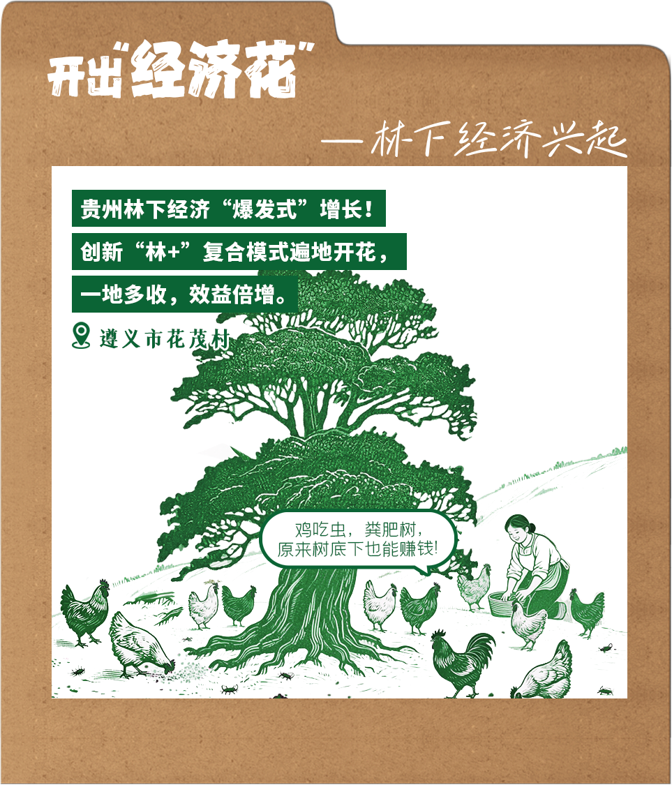 今天，我在贵州“种”了一棵树(图5)