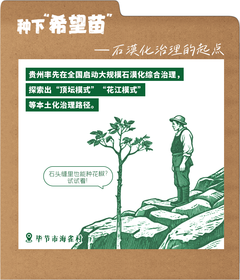 今天，我在贵州“种”了一棵树(图3)