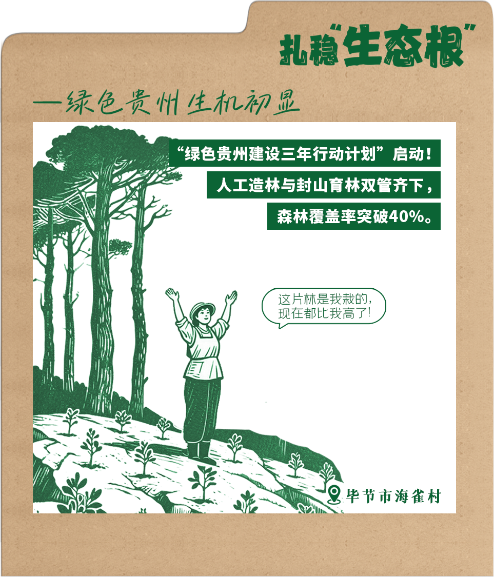 今天，我在贵州“种”了一棵树(图4)