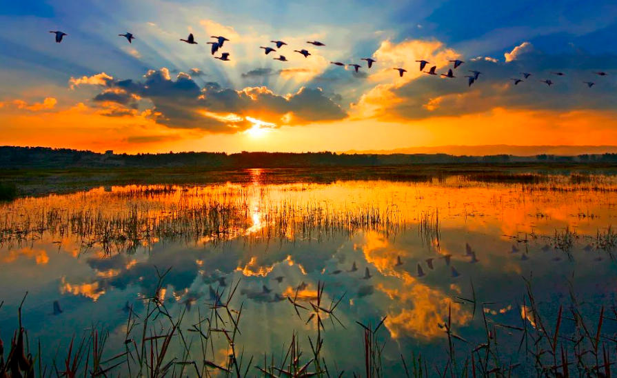 康养栖居·诗画金秋丨在金秋时节游多彩贵州，寻找最美风光大片(图10)