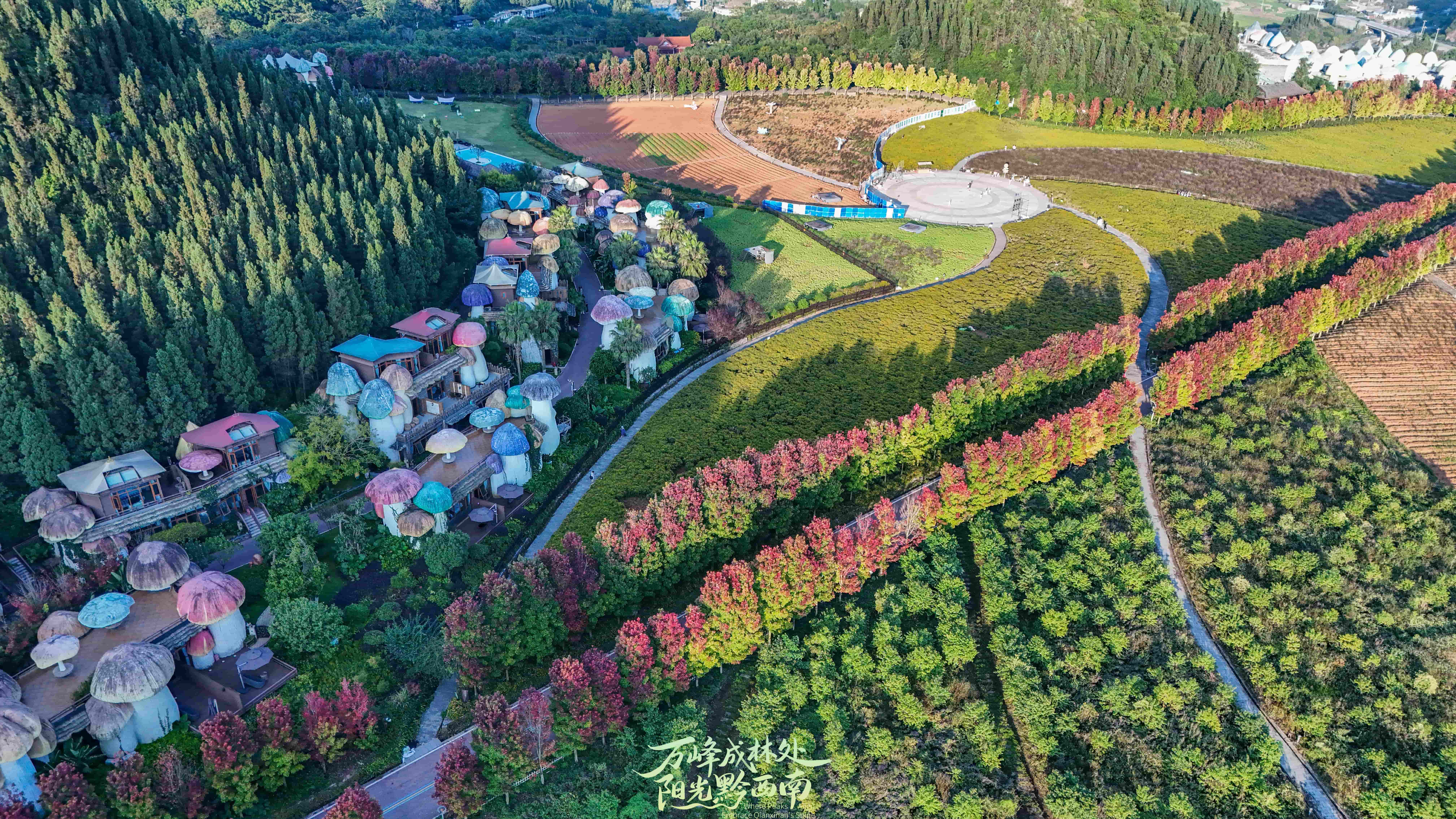 贵州兴义“枫”景好(图1)