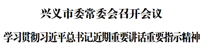 兴义市委常委会召开会议 学习贯彻习近平总书记近期重要讲话重要指示精神(图1)