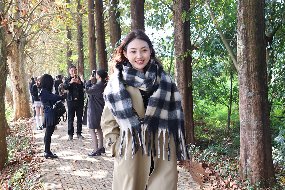 兴义：梧桐染金入画来 初冬美景引客游(图1)