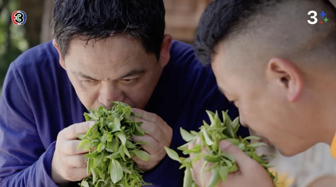 《黔方的盛宴》东南亚“破圈”!贵州风味成为跨文化传播“味觉纽带”(图4) 《黔方的盛宴》东南亚“破圈”!贵州风味成为跨文化传播“味觉纽带”(图4)