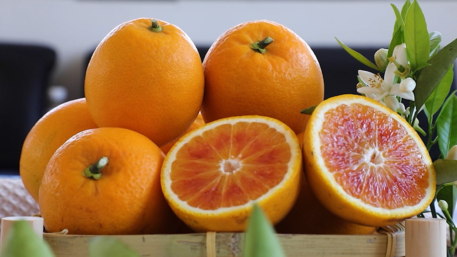 盘兴高铁正式开通 兴义各界热盼“黄金通道”激活发展新动能(图4) 盘兴高铁正式开通 兴义各界热盼“黄金通道”激活发展新动能(图4)