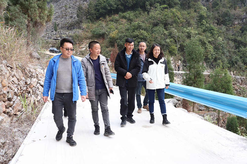 【扎根一线 书记风采】岩峰村“85后”女书记刘苏晓：扎根乡村沃土 用青春热血书写乡村振兴新答卷(图3)