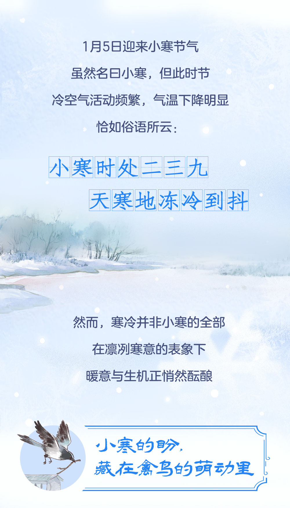 图说节令|小寒:在数九寒天,等一场花开(图2) 图说节令|小寒:在数九寒天,等一场花开(图2)