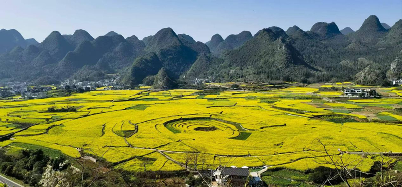 万峰林景区。陈湘飚摄