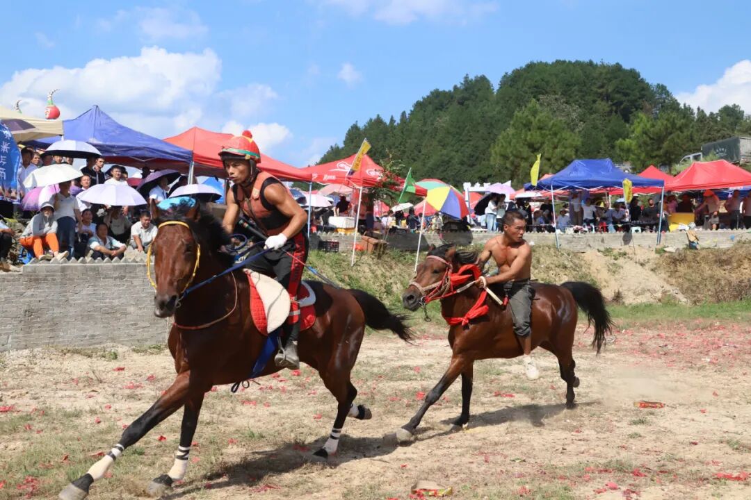 高质量发展这五年 | “一匹马”赛出旅游新天地(图2)
