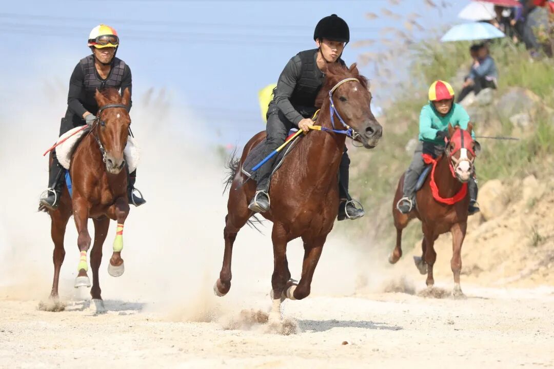 高质量发展这五年 | “一匹马”赛出旅游新天地(图3)