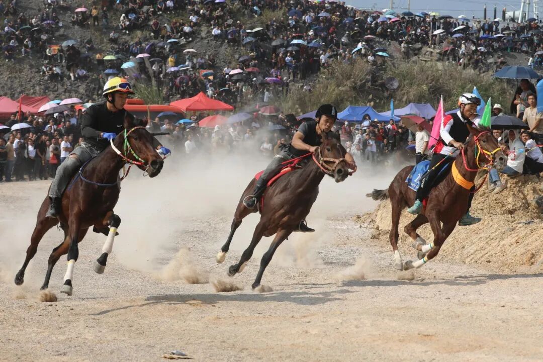 高质量发展这五年 | “一匹马”赛出旅游新天地(图4)