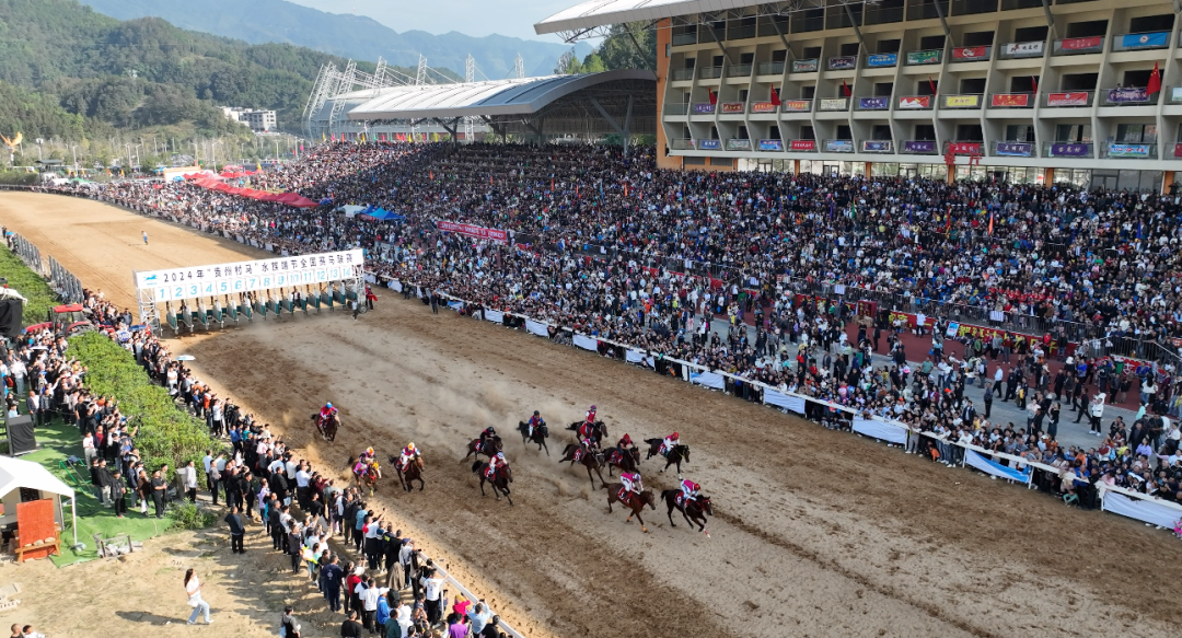 高质量发展这五年 | “一匹马”赛出旅游新天地(图5)