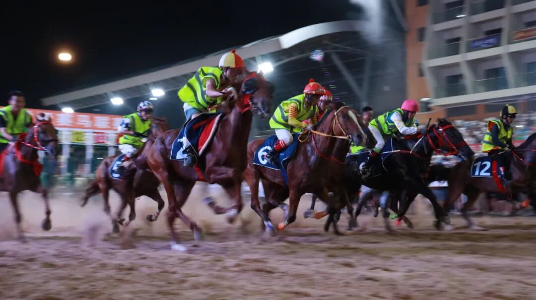 高质量发展这五年 | “一匹马”赛出旅游新天地(图8)