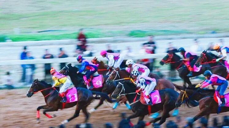 高质量发展这五年 | “一匹马”赛出旅游新天地(图13)