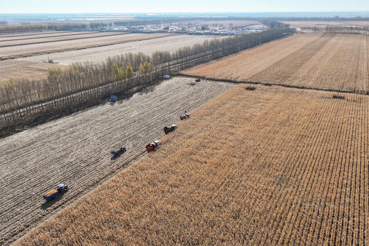 中国经济“十四五”收官答卷透视(图10)