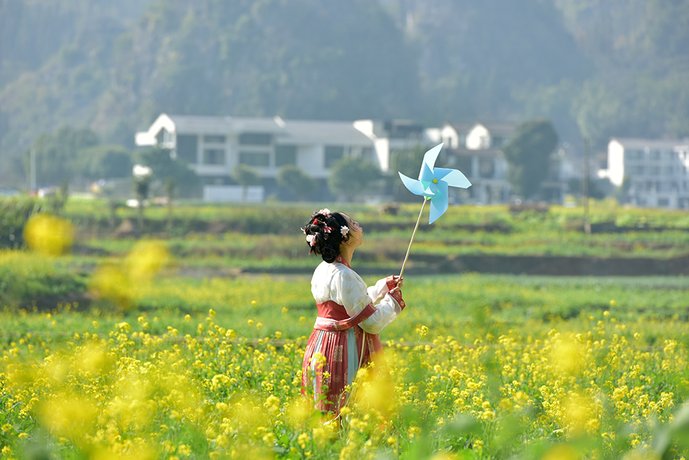 “冬日花海”引客来 万峰林景区6000多亩油菜花渐次开放(图3)