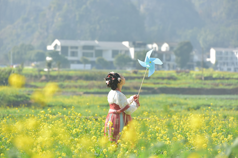 万峰林景区：观花海 逛集市 “暖冬游”持续火爆(图1)