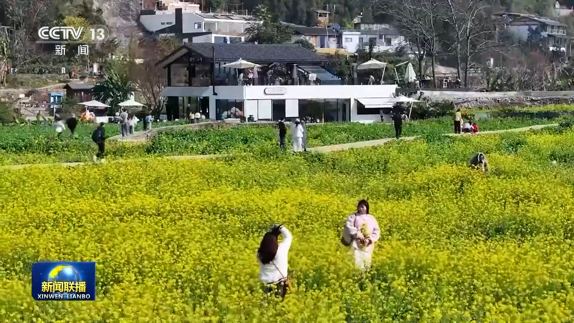 央视《新闻联播》关注贵州兴义6000多亩油菜花绽放(图2)