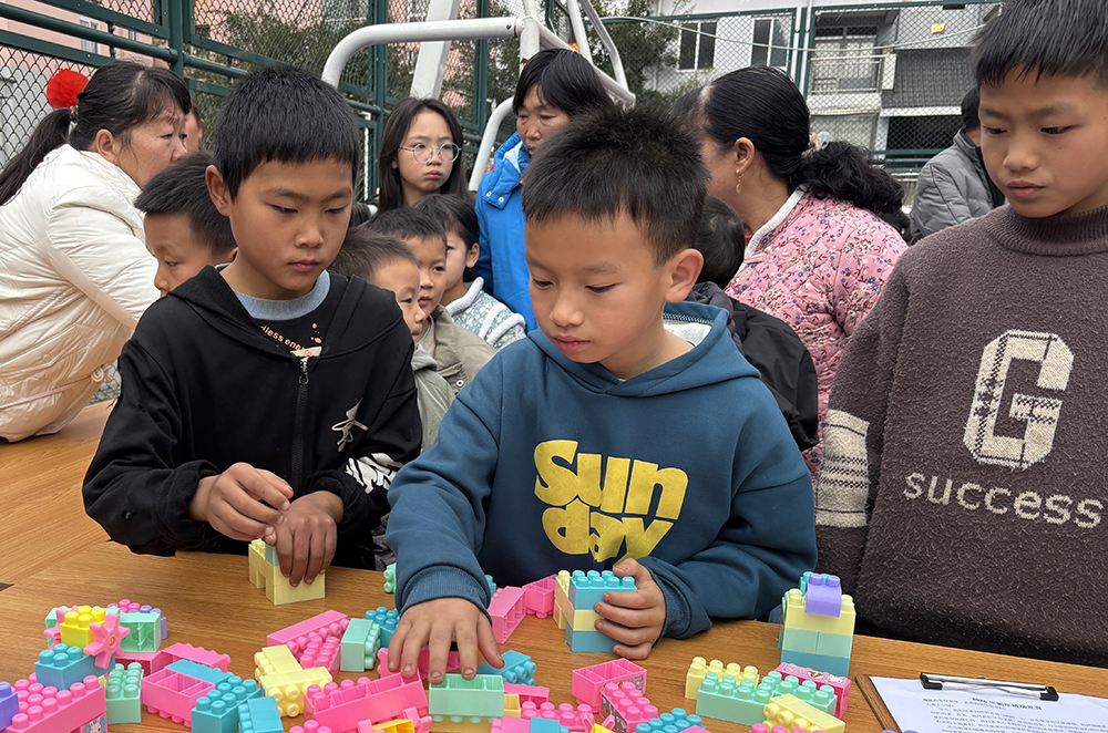 金蛇辞旧岁 福马迎新春——康平社区举办2026春节主题活动(图2)