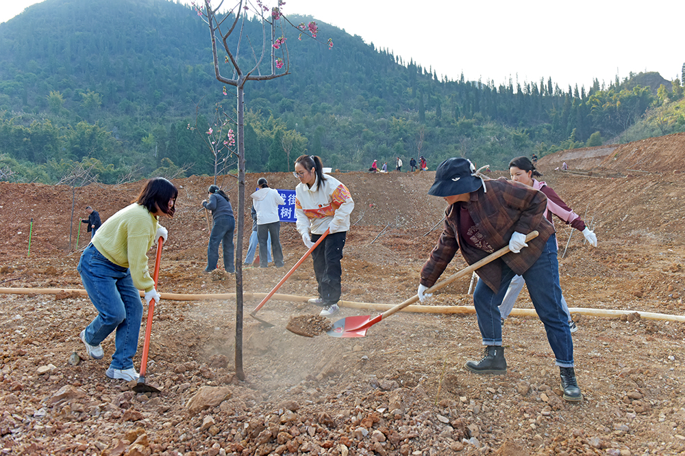 黔西南州开展2026年义务植树活动 1万余人植树5.9万株(图2)