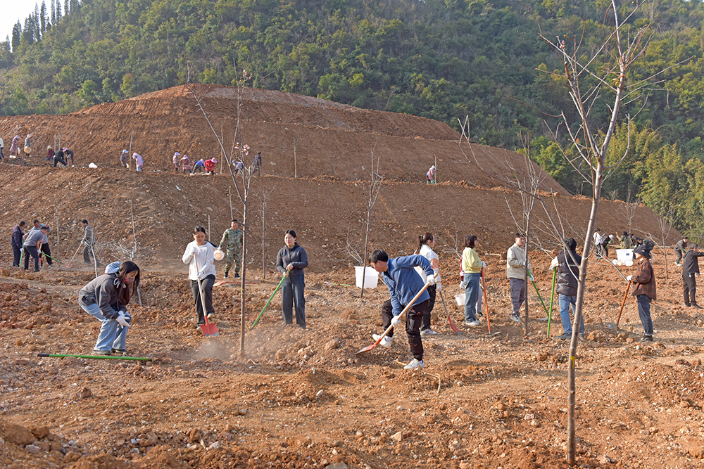 黔西南州开展2026年义务植树活动 1万余人植树5.9万株(图4)