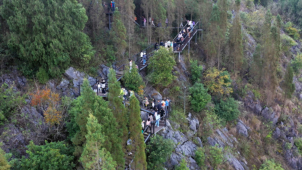 马踏春风登万峰·龙马精神启新年丨2026万峰林新春徒步活动举行(图2)