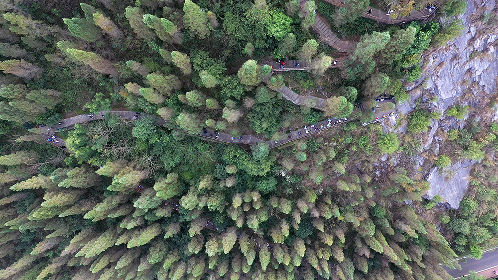 马踏春风登万峰·龙马精神启新年丨2026万峰林新春徒步活动举行(图3)