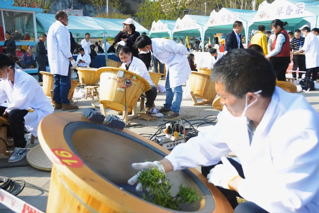 在世界第一高桥品味“早春第一鲜”(图8)