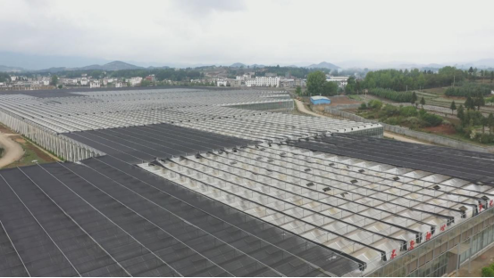 省级重大工程重点项目最新名单出炉，3427个项目锚定高质量发展(图4)