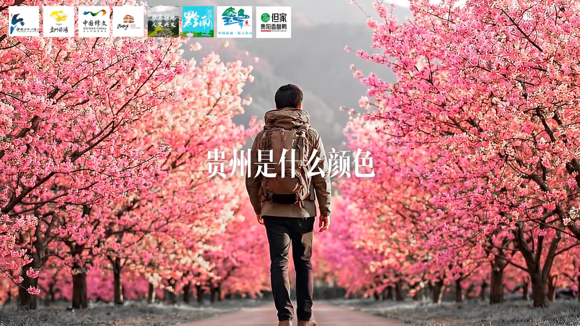 贵州野生创造力又出圈！雪山救狐主创：1个卖酱板鸭的团队，用40元做出50亿流量(图8)