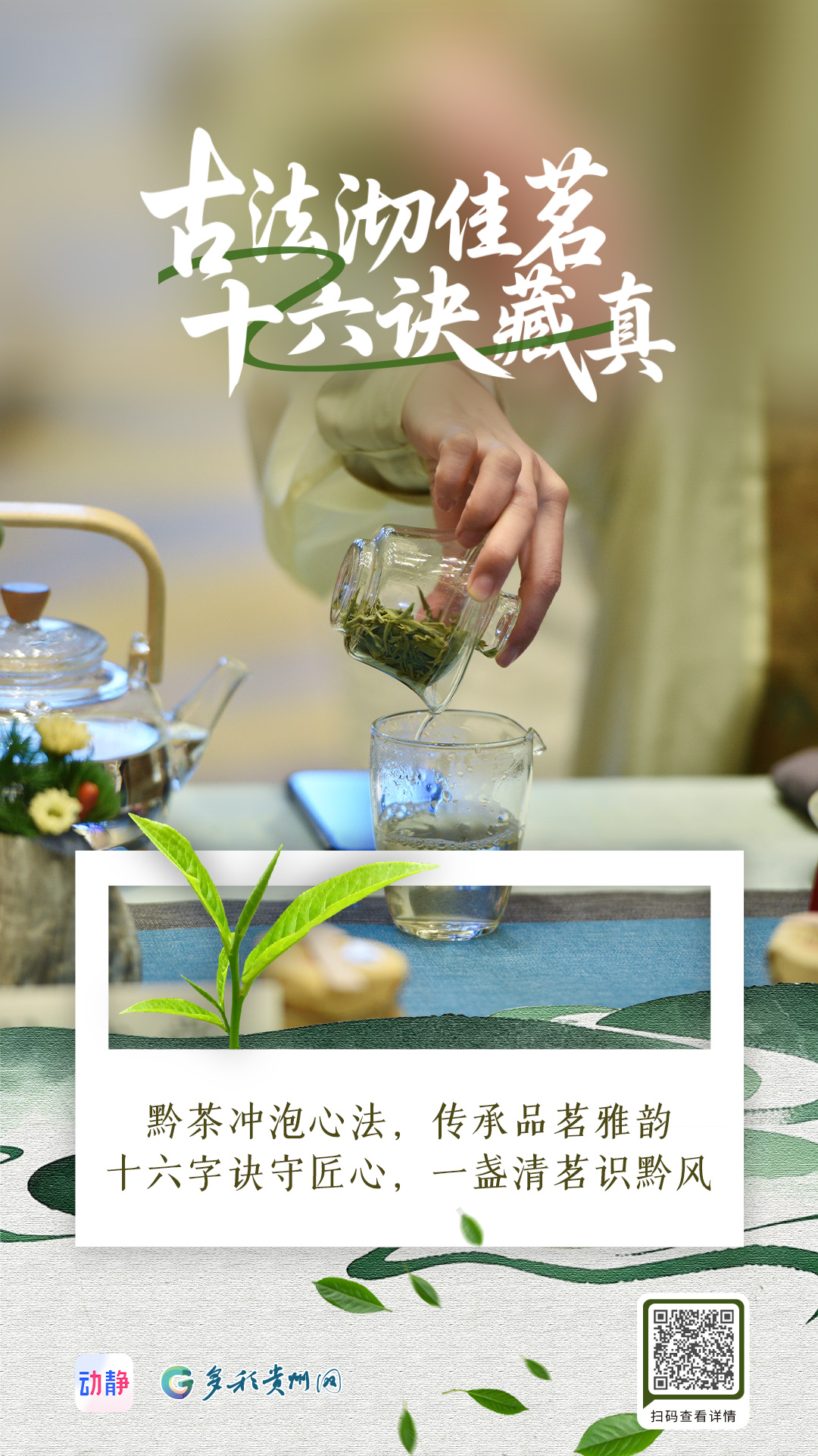 黔茶飘香丨每一杯黔茶，都是流动的山水(图4)