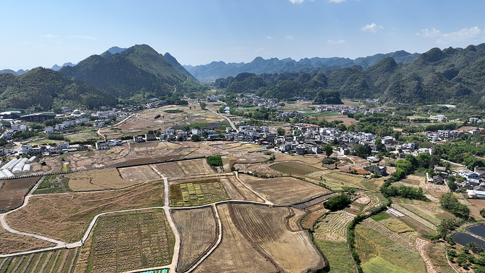 兴义:油菜测产显佳绩 亩产最高144.43公斤(图7) 兴义:油菜测产显佳绩 亩产最高144.43公斤(图7)