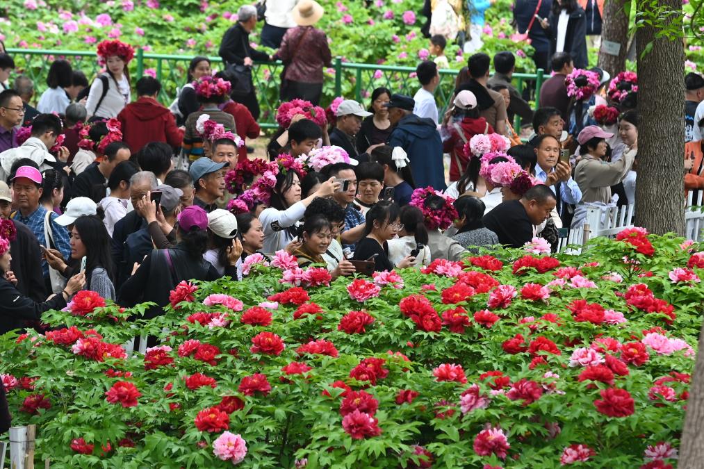 节令之美丨谷雨:山海之间春意浓(图2) 节令之美丨谷雨:山海之间春意浓(图2)