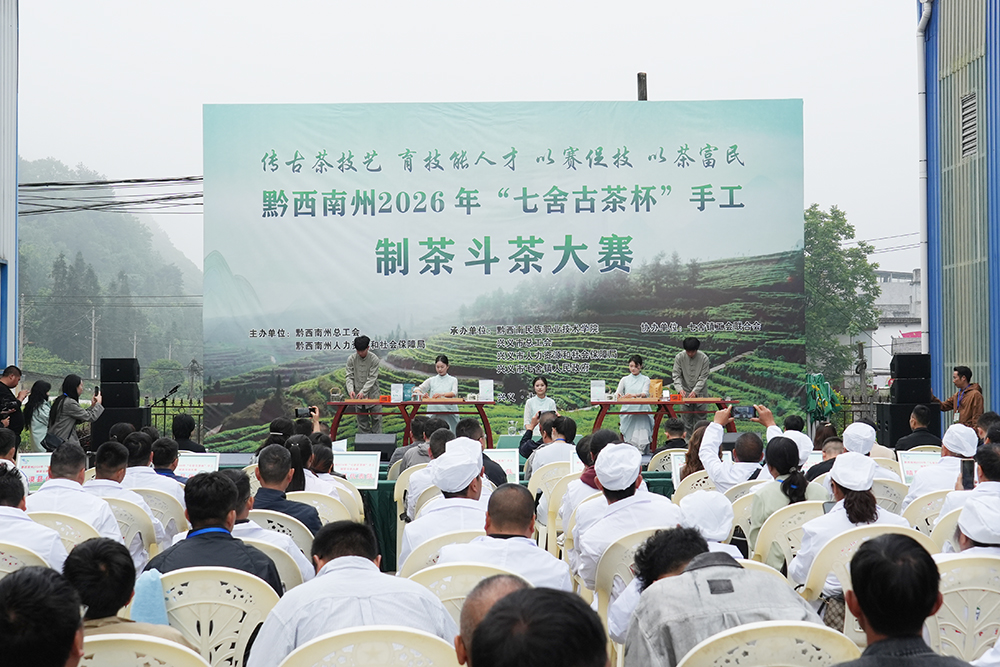 黔西南州2026年“七舍古茶杯”手工制茶斗茶大赛在兴义举行(图1)