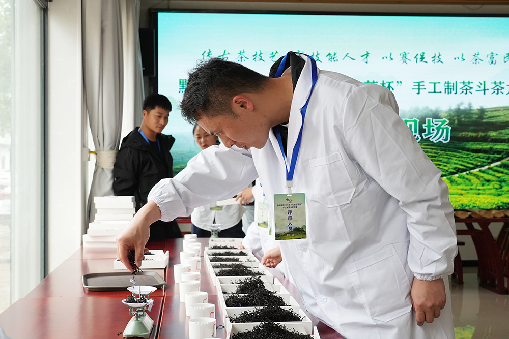 黔西南州2026年“七舍古茶杯”手工制茶斗茶大赛在兴义举行(图2)