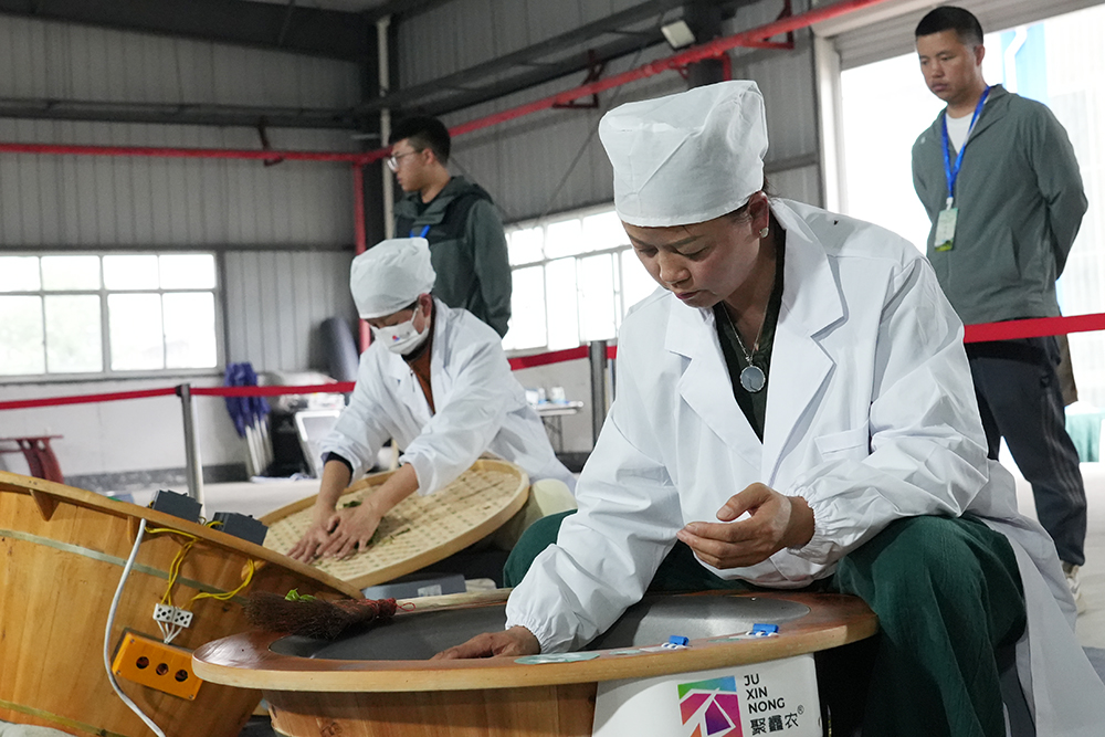 黔西南：以赛促技、以茶富农 铺就茶产业高质量发展新路(图2)