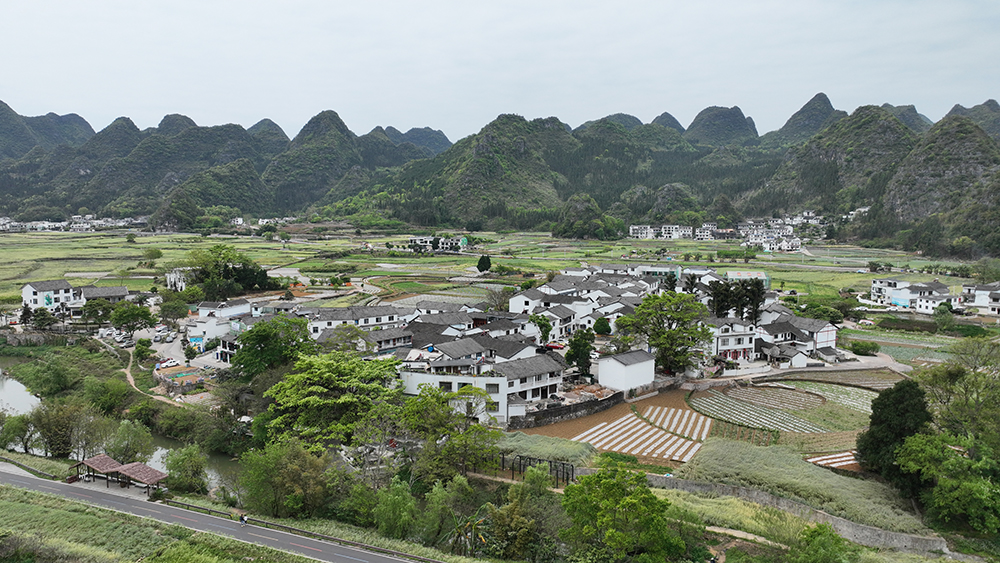 从短暂旅居到扎根安居 八方游客变“新兴义人”(图1)
