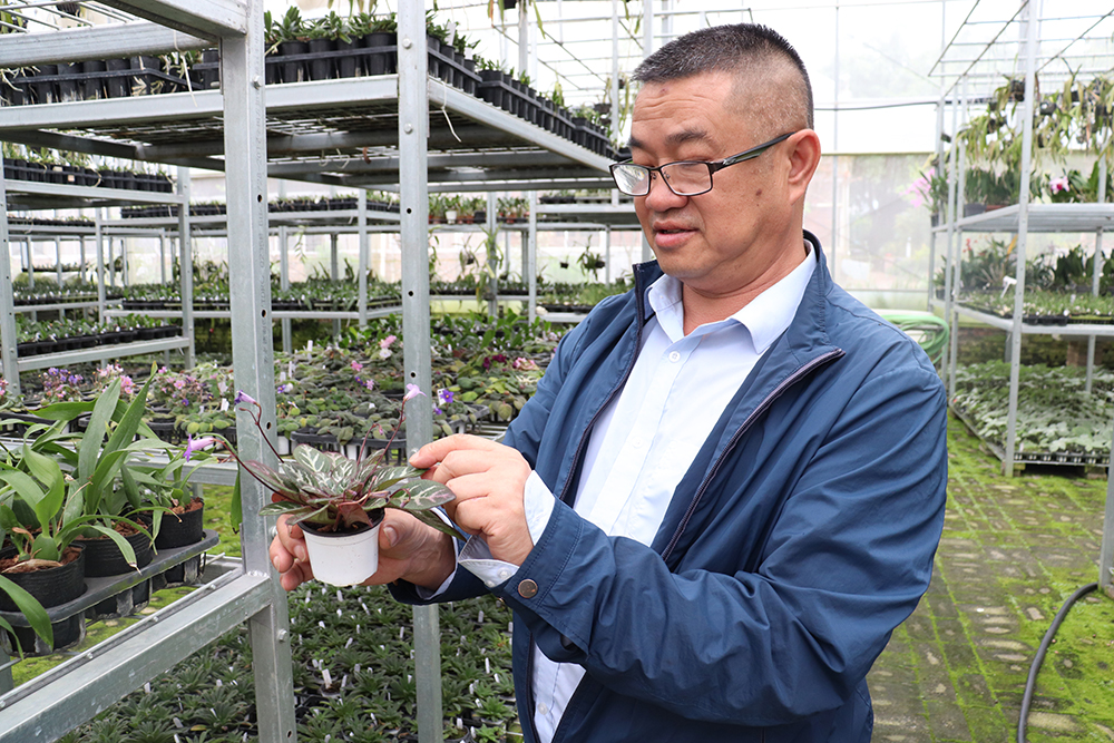 邓克云：三十年山野守望 让“植物熊猫”走向世界(图1)